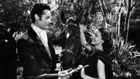 «Мужчины в ее жизни (1941)» — обои к фильму #2