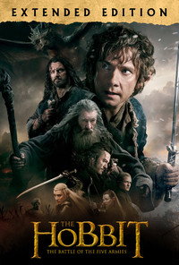 Постер фильма «Хоббит: Битва пяти воинств (2014)» — (21 из 134)