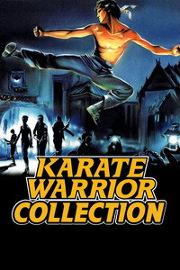 Poster for Karate Warrior Collection