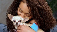 Do Dogs Really Love Us?