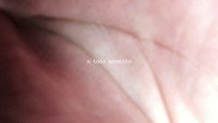 «Legítima Defesa (2021)» — обои к фильму #2