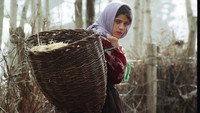 «Marsiyeh barf (2005)» — обои к фильму #1