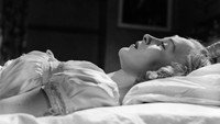 «Paraíso robado (1951)» — обои к фильму #1