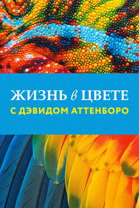 Постер сериала «Жизнь в цвете с Дэвидом Аттенборо (2021)» — (5 из 14)
