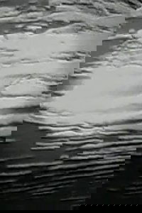 n e s t - smoke signals