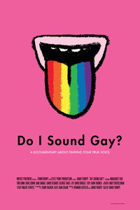 Постер фильма «Do I Sound Gay? (2014)» — (10 из 17)