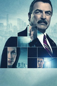 Постер сериала «Голубая кровь (2010 - 2024)» — (39 из 149)