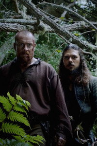 Постер сериала «Черные паруса (2014-2017)» — (12 из 85)
