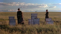 Обои к фильму «Дни жатвы (1978)» — (36 из 90)