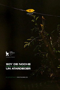 Soy de noche, pero me gustaria ser un atardecer (2023) poster