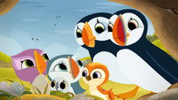 «Puffin Rock and the New Friends (2023)» — обои к мультфильму #2