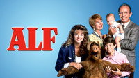 «Альф (1986 - 1990)» — обои к сериалу #7