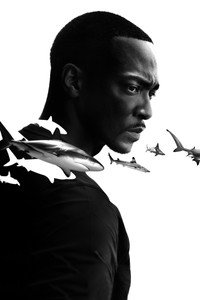 Постер фильма «Акулий пляж с Энтони Маки (2024)» — (1 из 7)