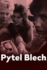 Pytel blech poster