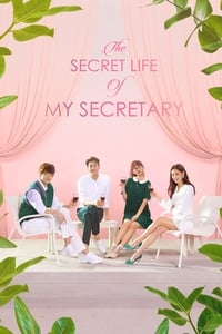 tv show poster The+Secret+Life+of+My+Secretary 2019