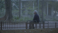 «Anjos das Marquises (2017)» — обои к фильму #1
