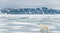 Svalbard