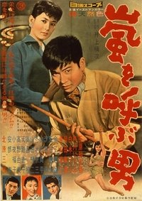 嵐を呼ぶ男 (1957)