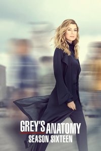 Grey's Anatomy - Season 16
