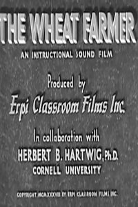 movie_cover