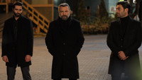 «Мафия не может править миром (2015-2021)» — обои к сериалу #7