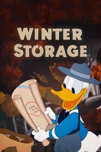 Poster de Winter Storage