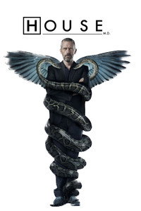 Постер сериала «Доктор Хаус (2004-2012)» — (68 из 347)