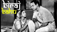 «Бирадж Баху (1954)» — обои к фильму #1