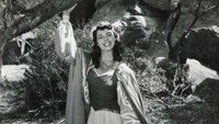 «Приключения Капитана Африка, сильнейшего мстителя джунглей (1955)» — обои к фильму #1