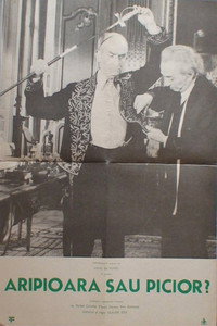 Aripioară sau picior?