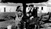 «Currito de la Cruz (1949)» — обои к фильму #1