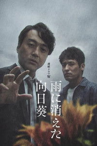 The Sunflower Disappeared in the Rain