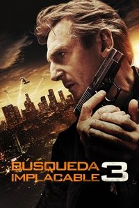 Poster de Búsqueda implacable 3