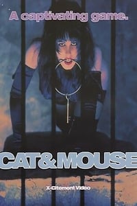 Cat & Mouse