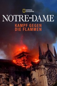 movie_cover