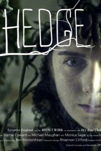 Hedge