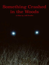 Постер фильма «Something Crashed in the Woods (2019)» — (3 из 4)