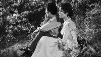 Обои к фильму «Восьмой день недели (1958)» — (16 из 27)