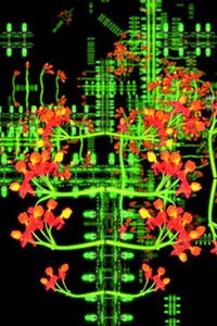 Imagem do Filme Microphobia