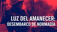 The Light of Dawn: The Normandy Landings