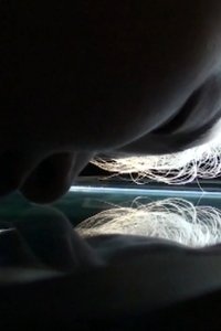 movie-images