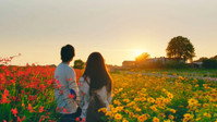 «The Hows of Us (2018)» — обои к фильму #1