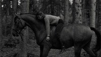 «L'allégement (1983)» — обои к фильму #1