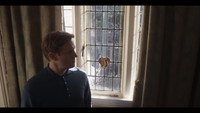 «But Why? (2021)» — обои к фильму #1