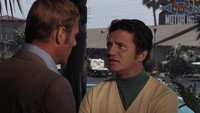 «Девушка, которая слишком много знала (1969)» — обои к фильму #4