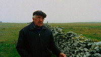 «Форё, документальный фильм 1979 года (1979)» — обои к фильму #1
