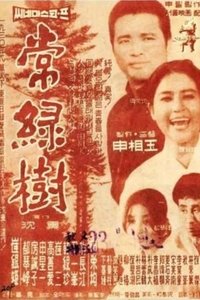 상록수 (1961)