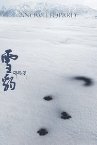 movie-images