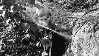 Обои к фильму «...А зори здесь тихие (1972)» — (24 из 37)