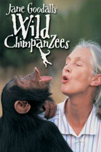 Постер фильма «Jane Goodall's Wild Chimpanzees (2002)» — (2 из 2)